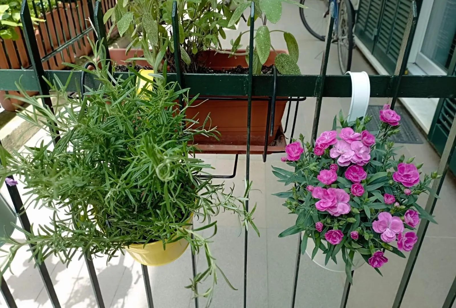 Crono Apartment Levanto